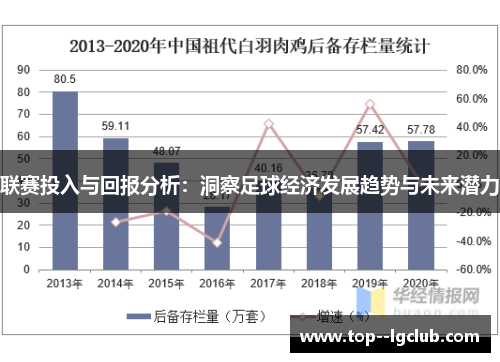 联赛投入与回报分析：洞察足球经济发展趋势与未来潜力