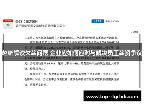 赵鹏解读欠薪问题 企业应如何应对与解决员工薪资争议